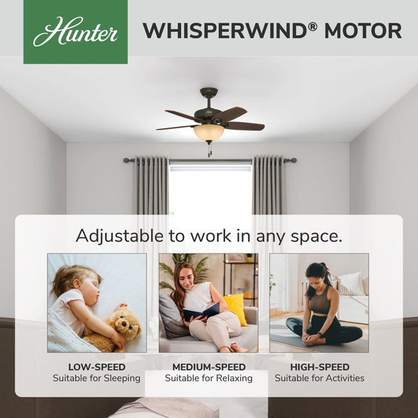 52218_31_builder_with_light_42_inch-new_bronze-whisperwindmotorgraphic