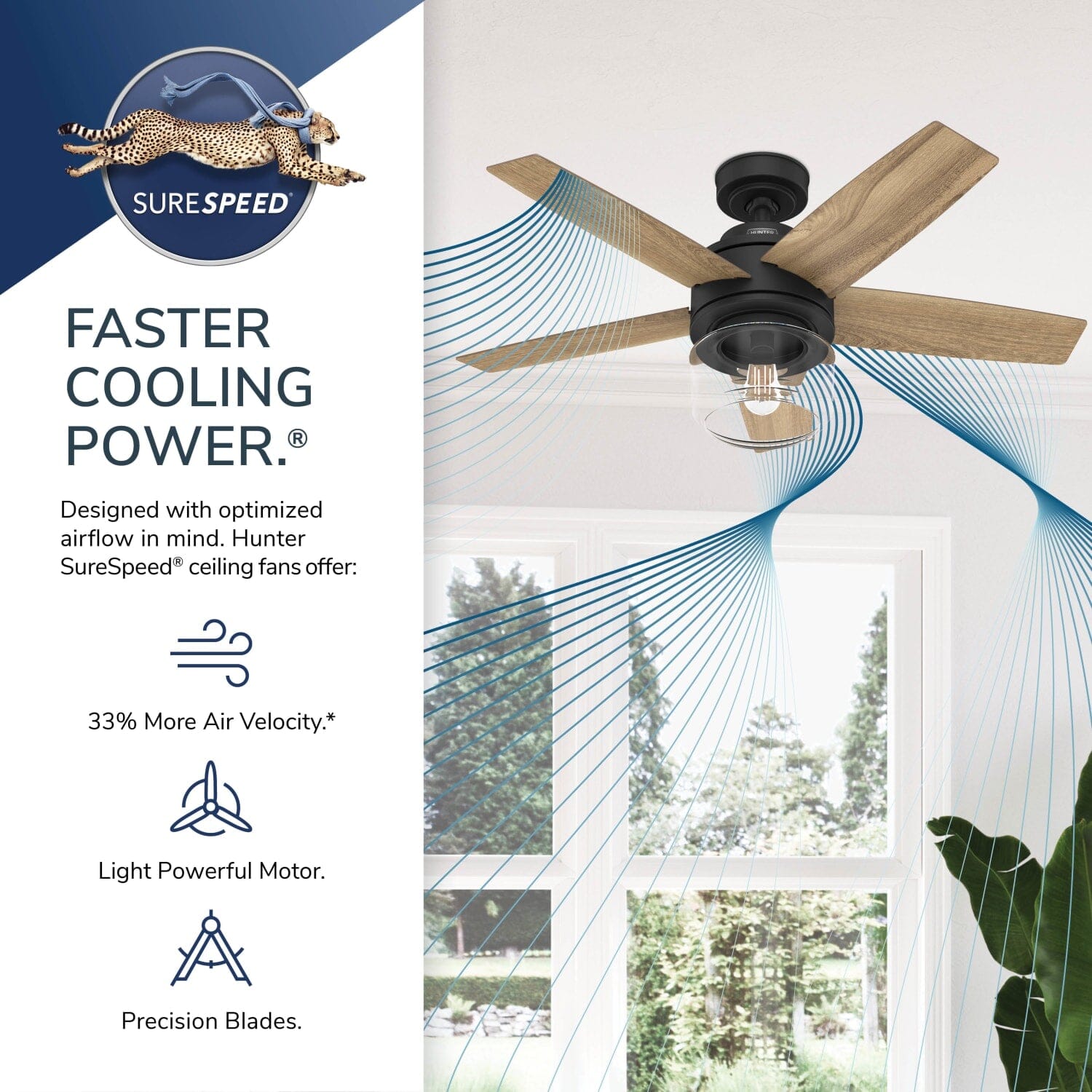 Hunter Margo with Light 44inch and Remote – Hunter Fan