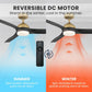 52327_10_eleve_comfort_3_blade_indoor_52_inch_m3-luxe_gold-reversible_motor_graphic_-_english