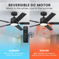 52332_10_eleve_comfort_5_blade_indoor_52_inch_m5-matte_black-reversible_motor_graphic_-_english