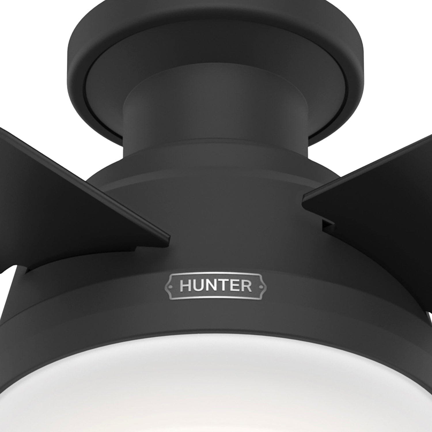 Hunter Dempsey Low Profile with Light 44 inch and Remote – Hunter Fan