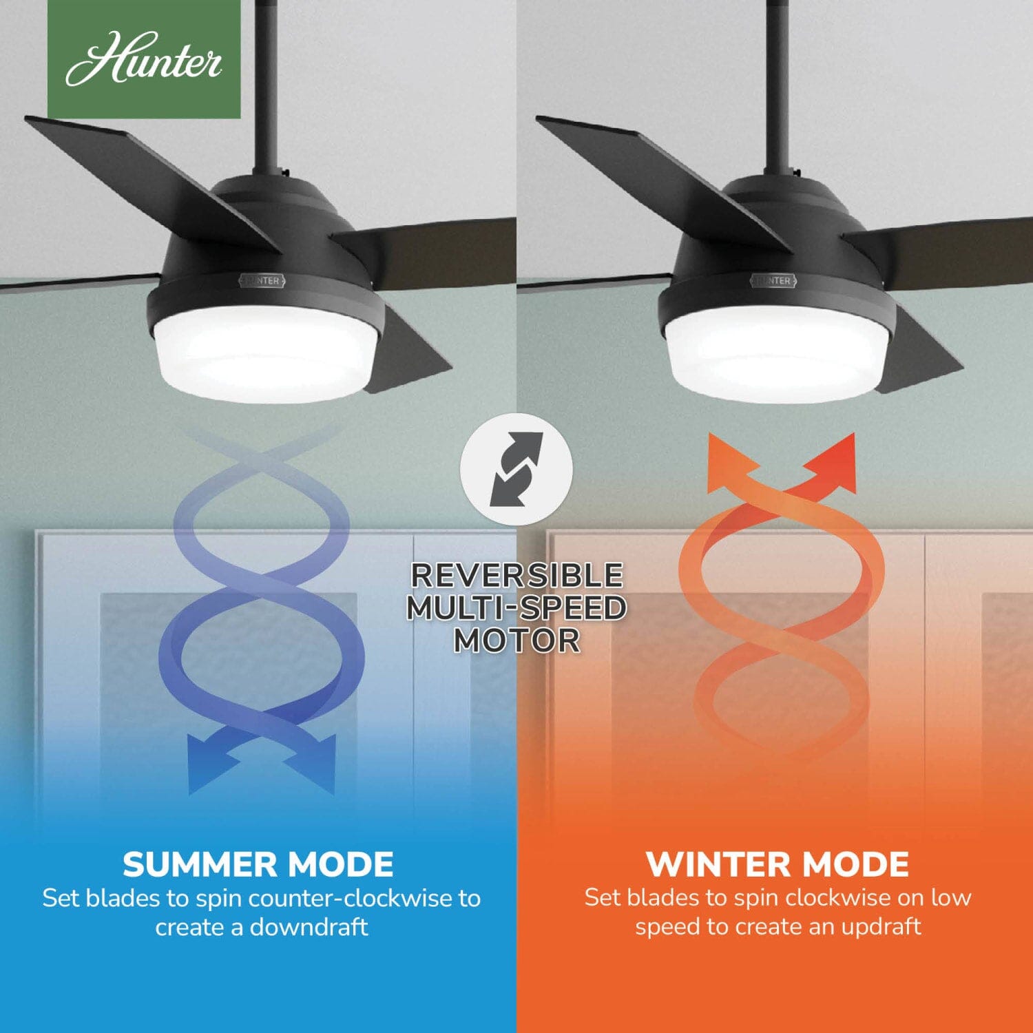 青夏、パルファ Hunter Dempsey with Light 44 inch and Remote – Hunter Fan