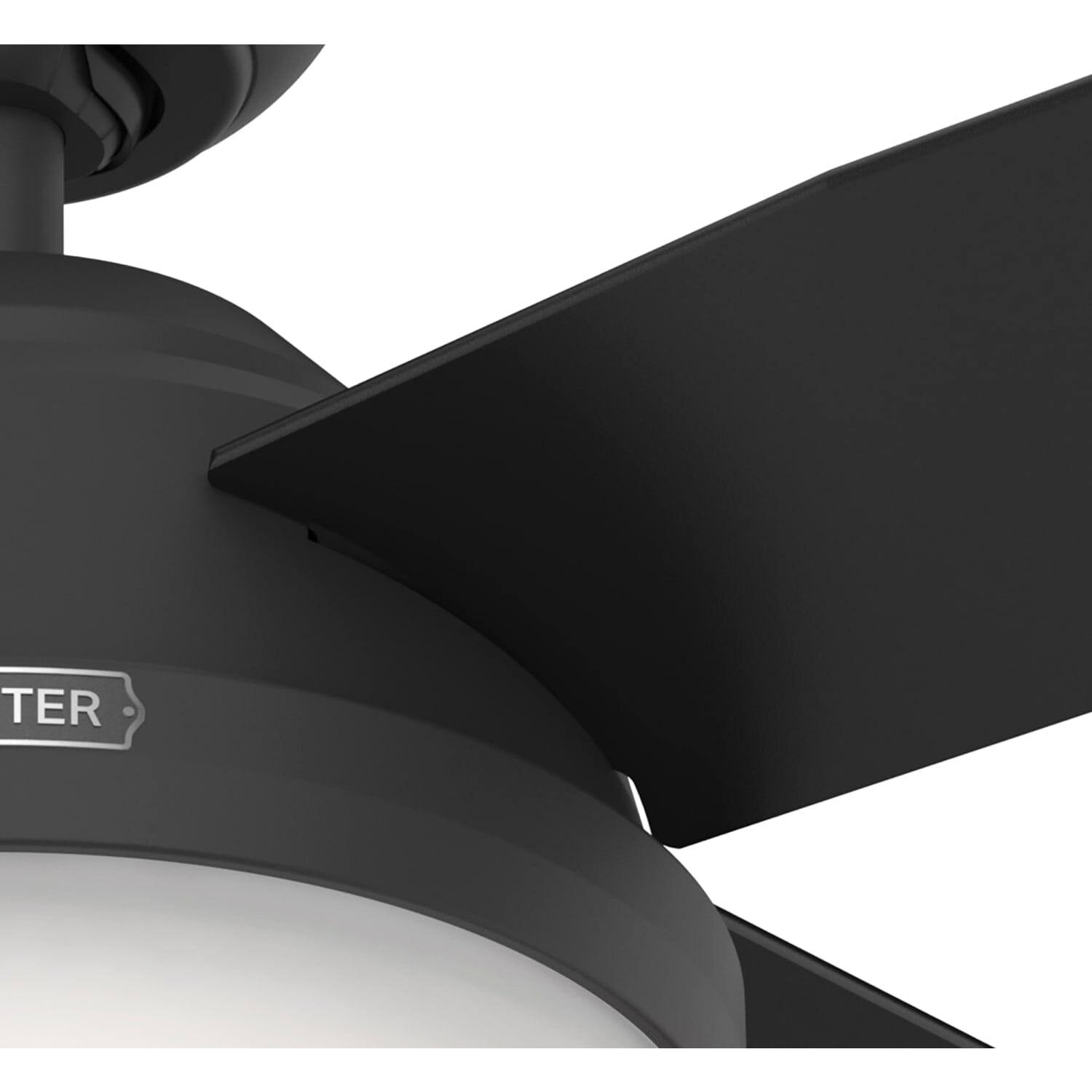 Hunter Dempsey with Light 44 inch and Remote – Hunter Fan