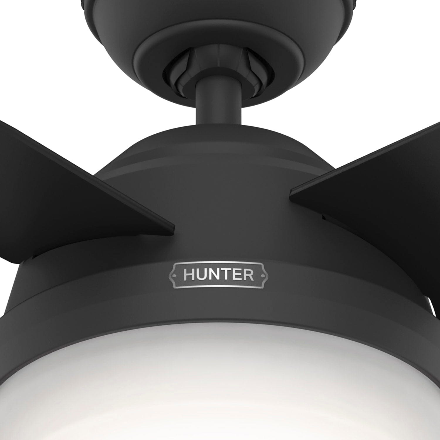 Hunter Dempsey with Light 44 inch and Remote – Hunter Fan