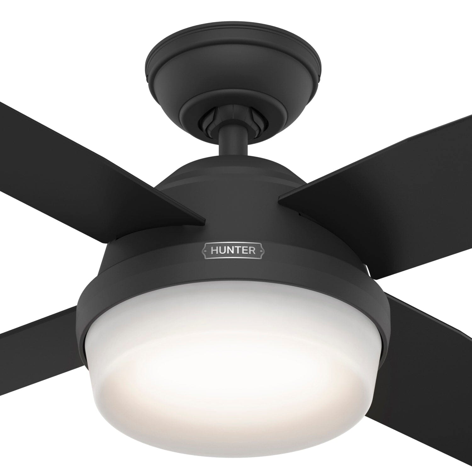 Hunter Dempsey with Light 44 inch and Remote – Hunter Fan
