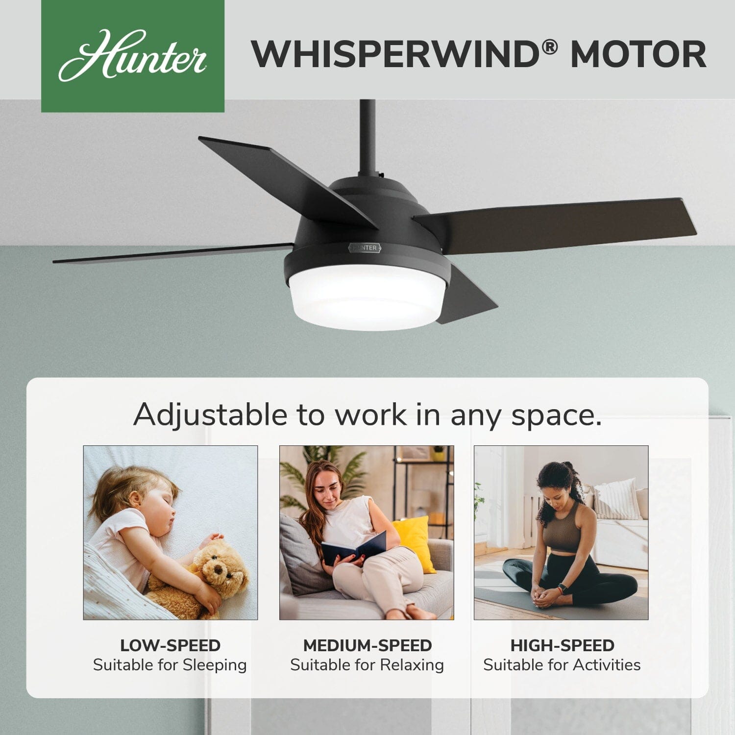 Hunter Dempsey with Light 44 inch and Remote – Hunter Fan