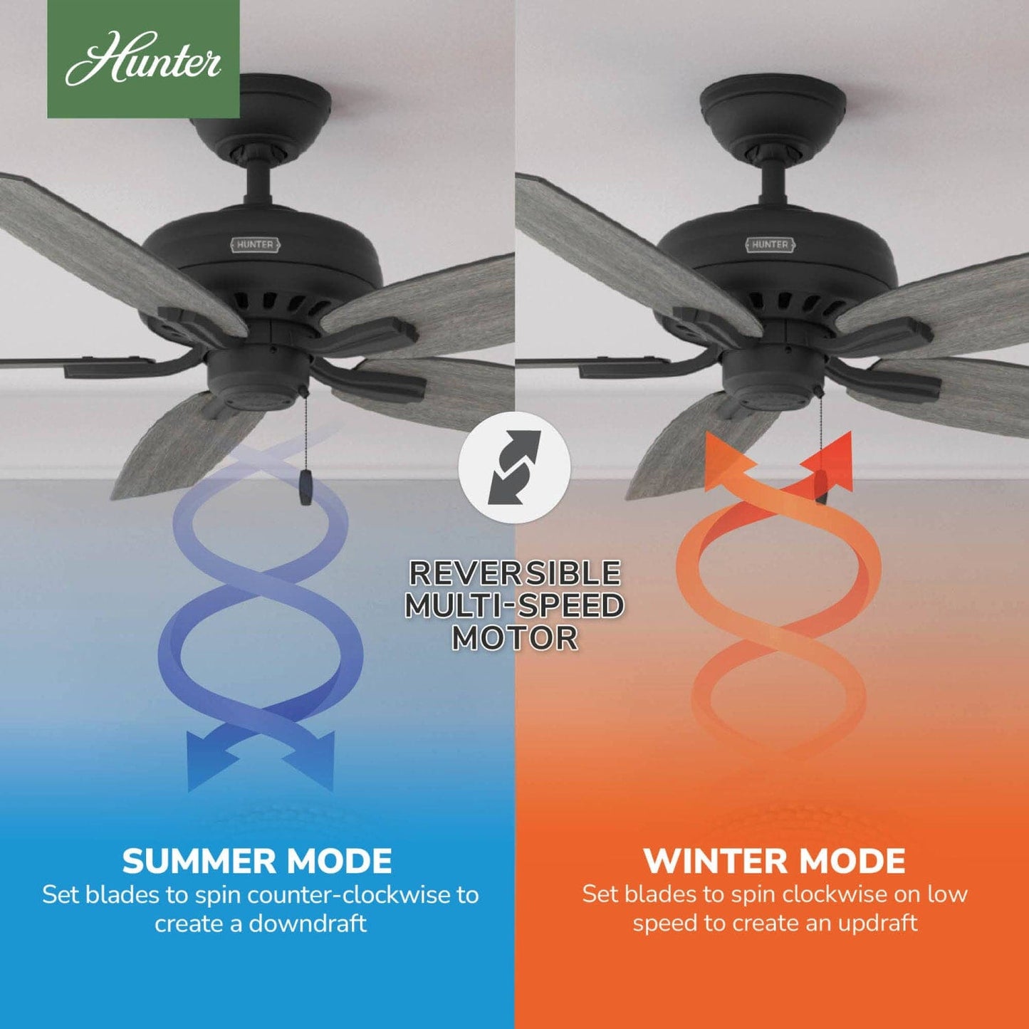 52397_10_newsome_52_inch-matte_black-reversible_motor_graphic_-_english