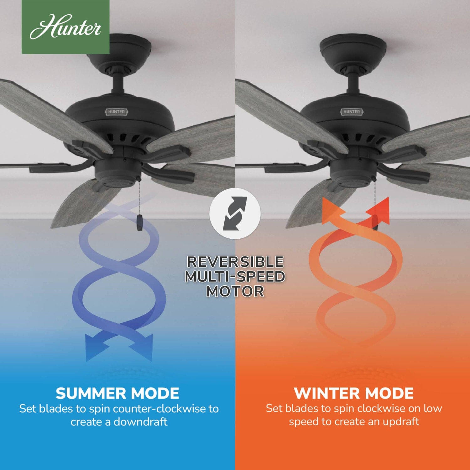 52397_10_newsome_52_inch-matte_black-reversible_motor_graphic_-_english