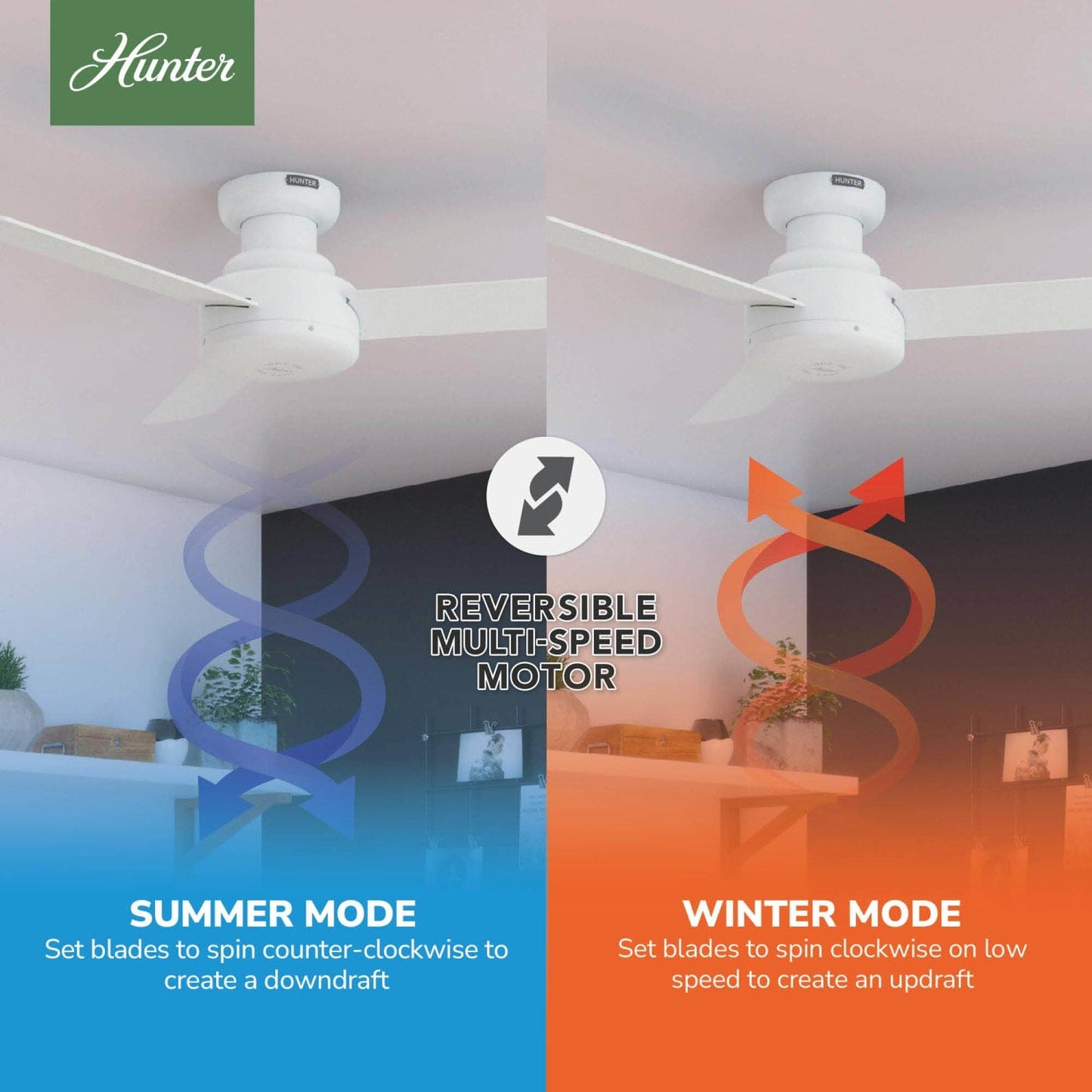 52402_10_presto_low_profile_44_inch-matte_white-reversible_motor_graphic_-_english