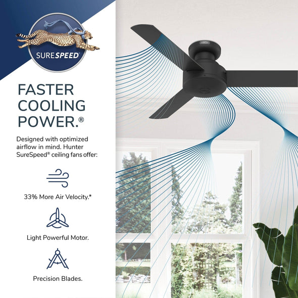 52403_29_presto_low_profile_44_inch-matte_nickel-surespeedgraphic