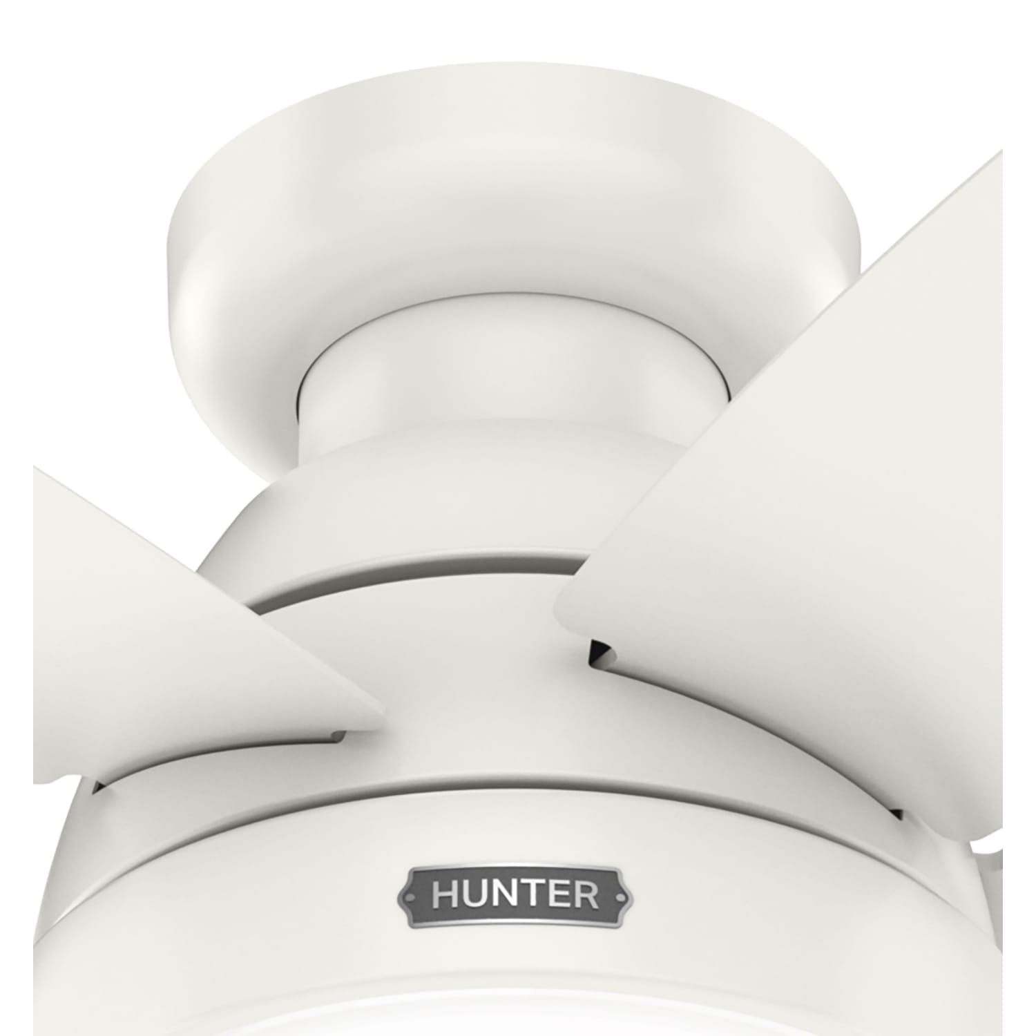 Hunter Lilliana with 2 LED Lights 52 inch – Hunter Fan