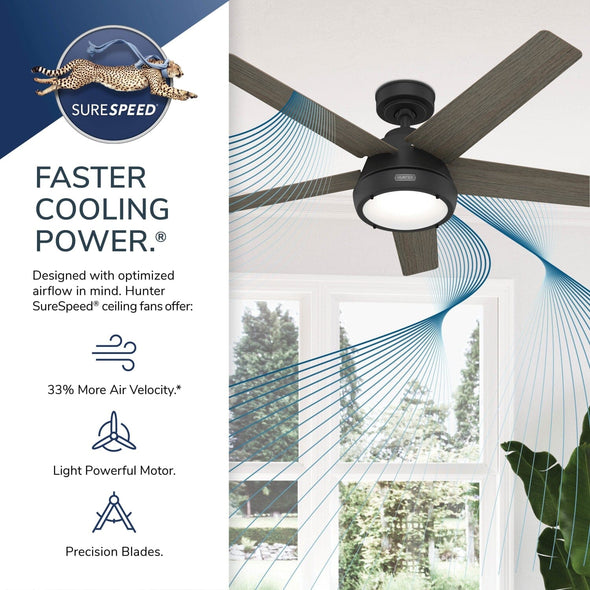 52422_29_burroughs_2_led_lights_52inch-matte_black-surespeedgraphic