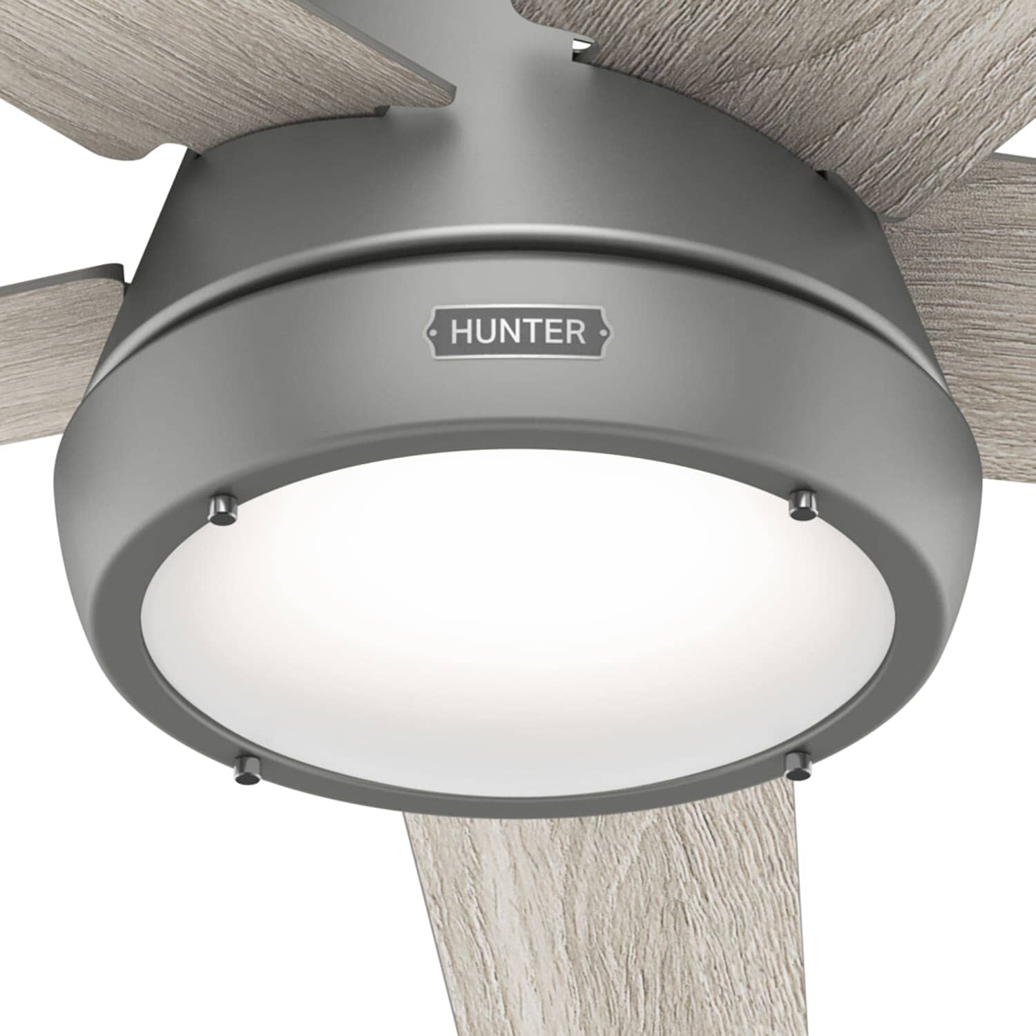 Hunter Burroughs 2 LED Lights 52inch and Remote – Hunter Fan