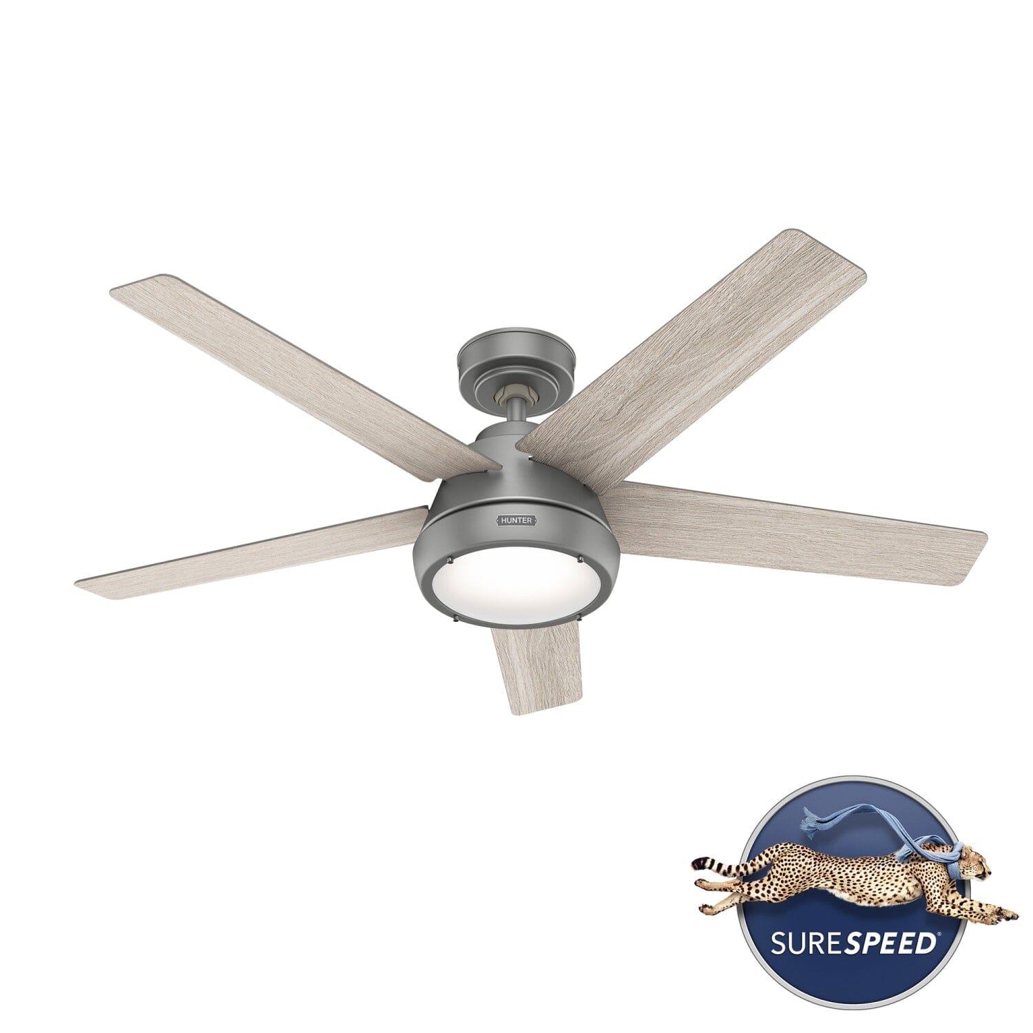 Hunter Burroughs 2 LED Lights 52inch and Remote – Hunter Fan