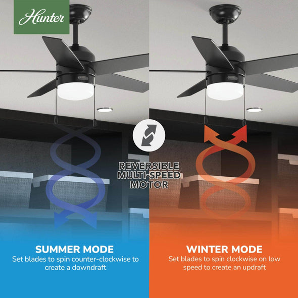 52492_10_bardot_led_light_44_inch-matte_black-reversible_motor_graphic_-_english