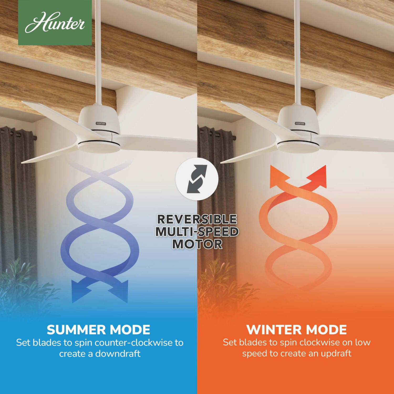 Hunter Malden Jasmine Roth Indoor 52 inch with Remote – Hunter Fan