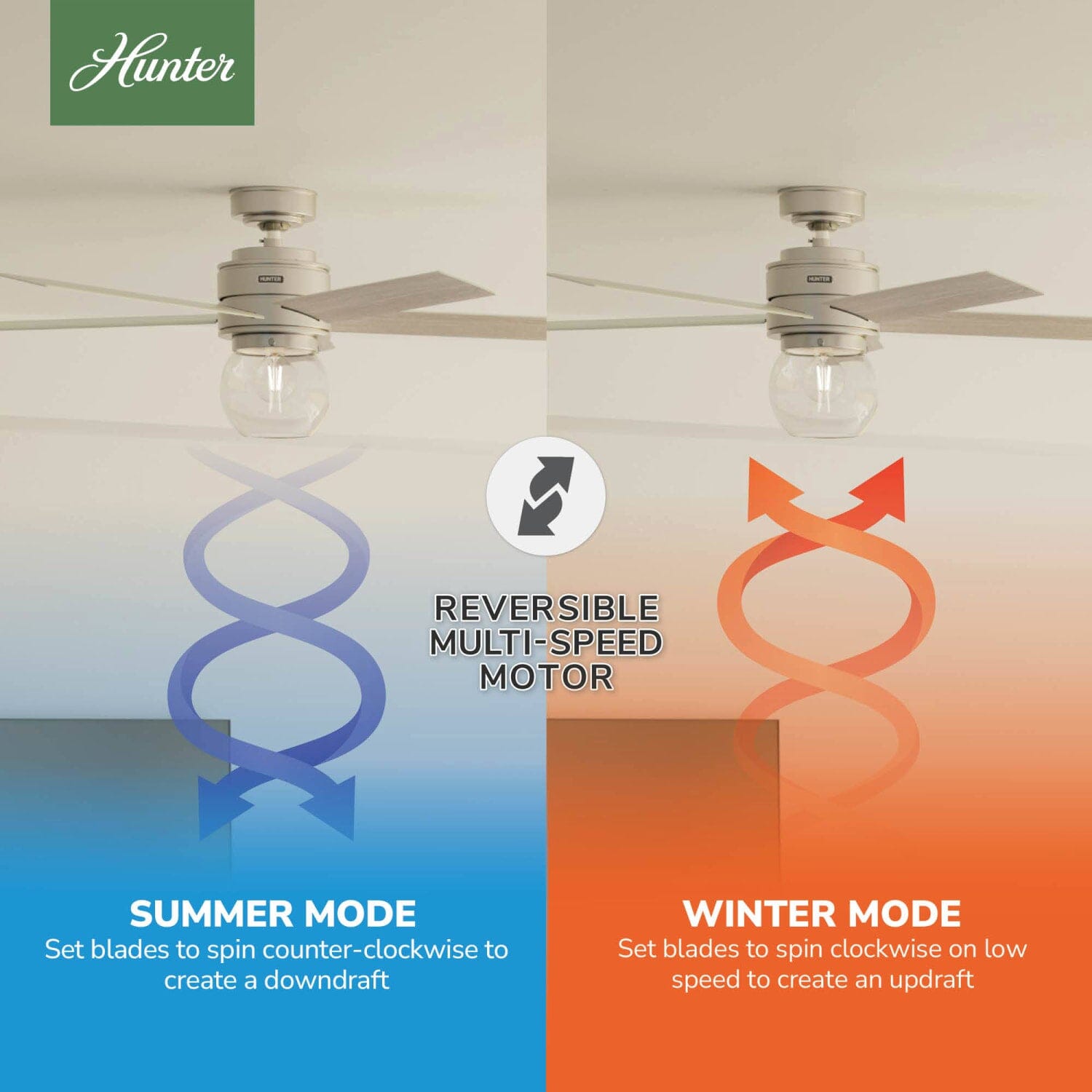 Hunter Xidane with LED Light 52 inch and Remote – Hunter Fan