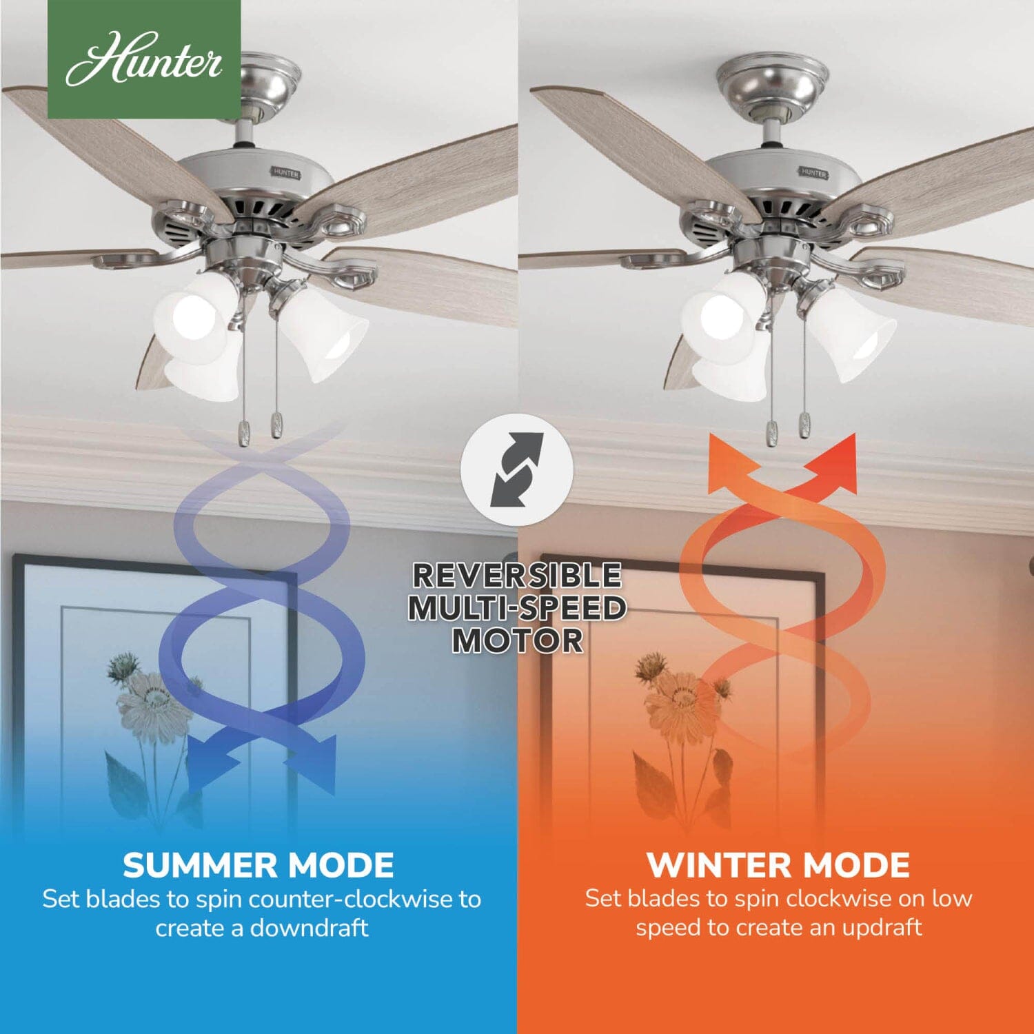 Hunter Builder ENERGY STAR DC with Light 52 inch – Hunter Fan