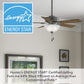 52780_23_swanson_energy_star_with_led_bowl_44_inch-matte_silver-energystargraphic