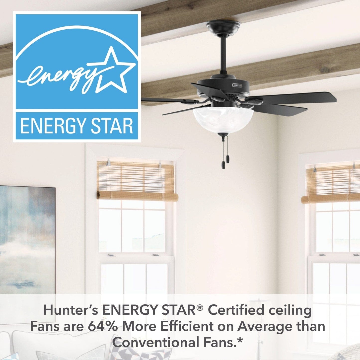 52790_23_swanson_energy_star_with_led_bowl_44_inch-matte_black-energystargraphic