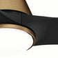 52824_15 aeronaut outdoor with led light 60 inch with remote luxe gold productdetail2
