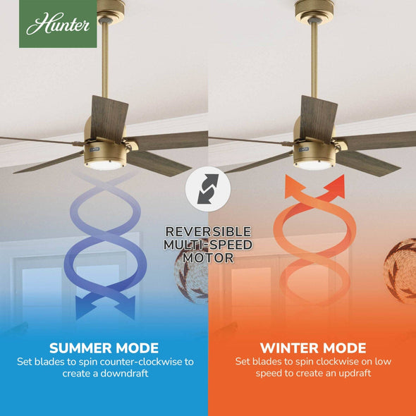 52849_10_erling_energy_star_with_led_light_52_inch-luxe_gold-reversible_motor_graphic_-_english