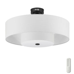 Hunter Brookside Jasmine Roth Indoor Fandelier with LED Light 30 inch ...
