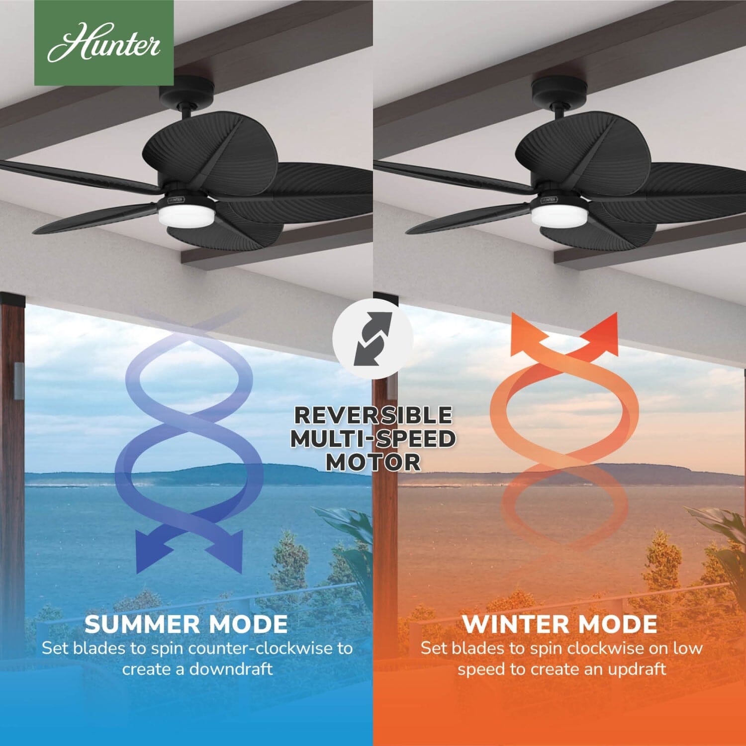 Hunter Tropic View Outdoor with LED Light 52 inch with Wall