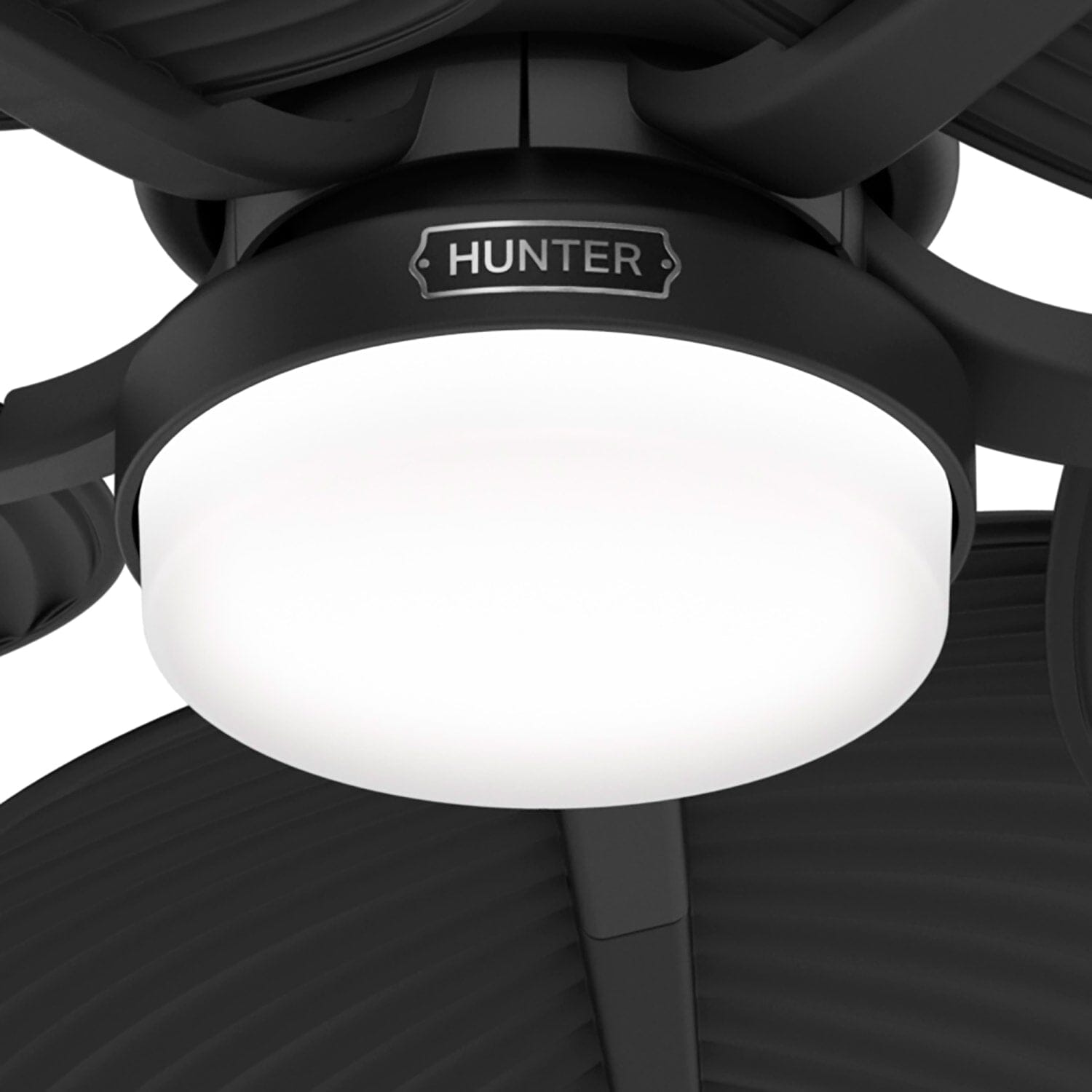 Hunter Tropic View Outdoor with LED Light 52 inch with Wall
