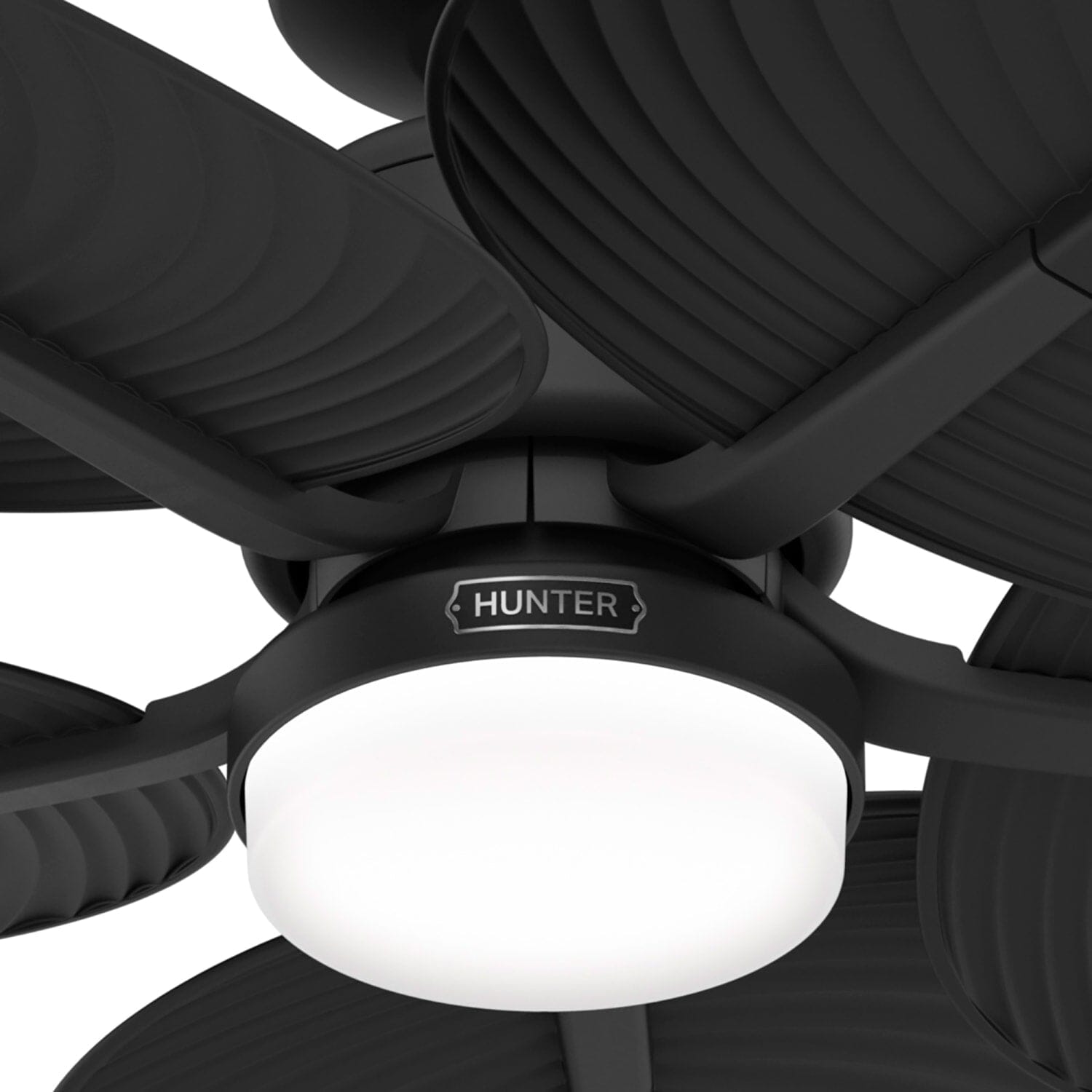 Hunter Tropic View Outdoor with LED Light 52 inch with Wall