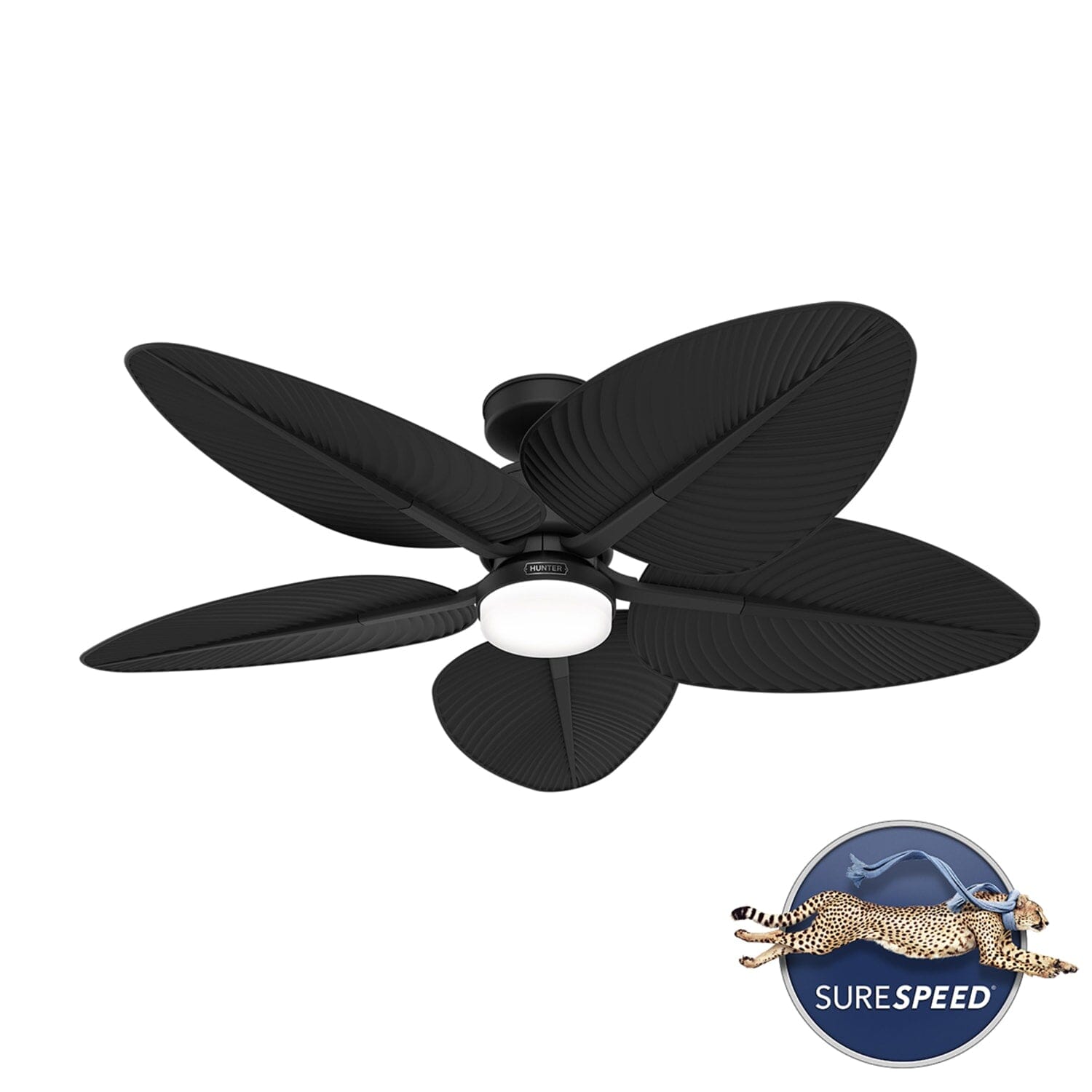 デュアルランド　Tropical 、Bayou セット Hunter Tropic View Outdoor with LED Light 52 inch with Wall