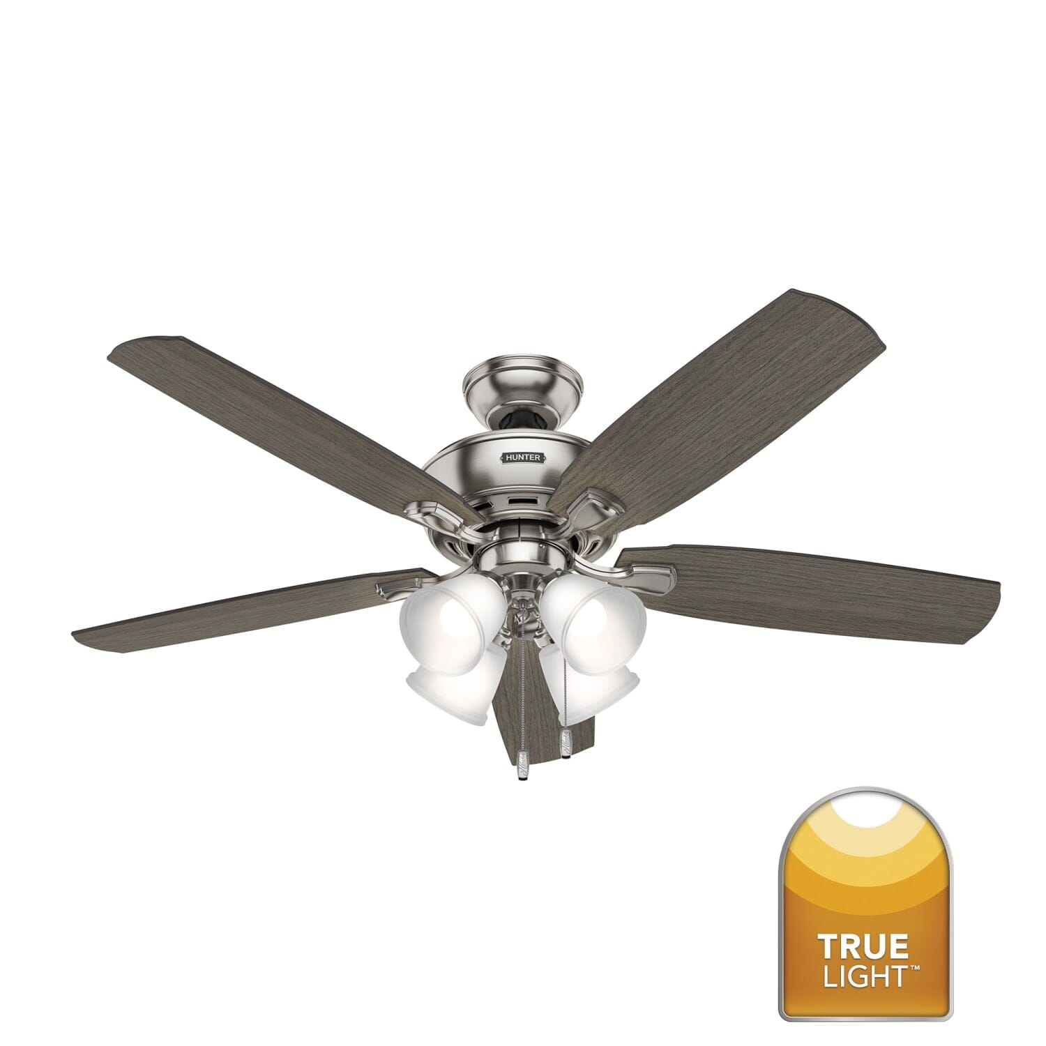 Hunter Amberlin with 4 LED Lights 52 inch – Hunter Fan