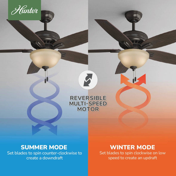 53311_10_newsome_with_light_52_inch-premier_bronze-reversible_motor_graphic_-_english