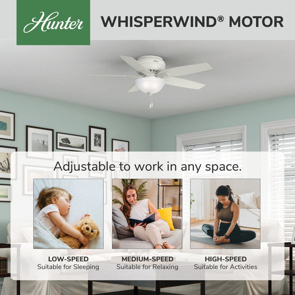 53313_31_newsome_low_profile_with_light_52_inch-fresh_white-whisperwindmotorgraphic