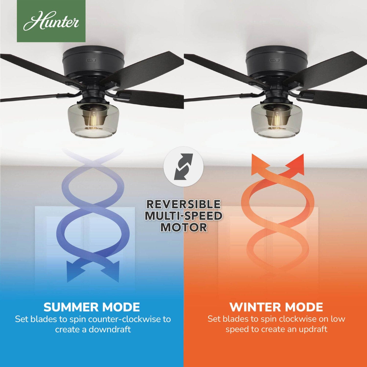 Hunter Bennett Low Profile with Light 52 inch and Remote – Hunter Fan