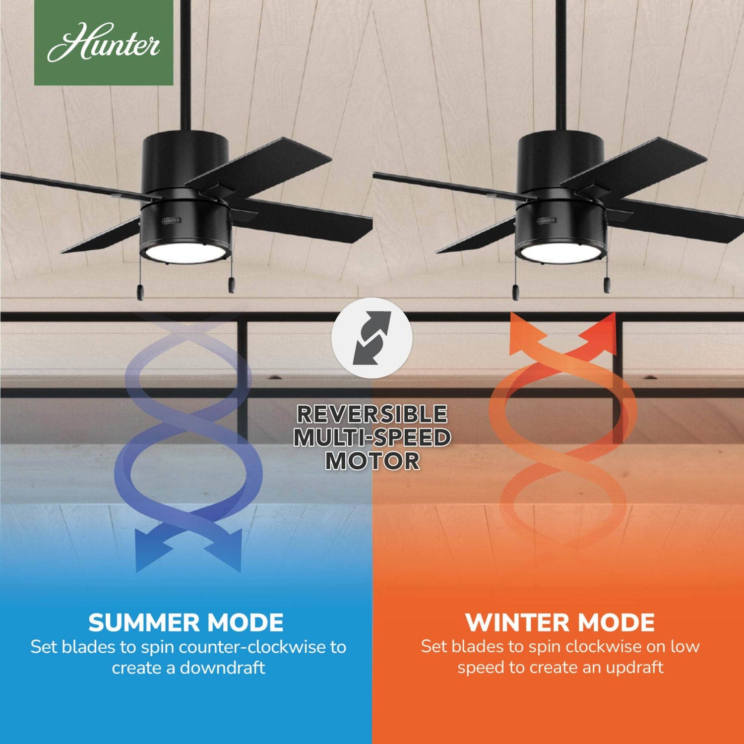 Hunter Beck with LED Light 42 inch – Hunter Fan