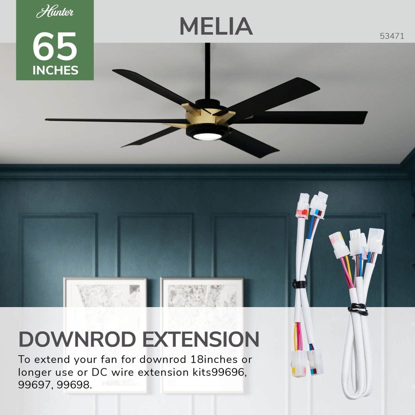 53471_27_melia_outdoor_energy_star_dc_with_led_light_65_inch_with_remote_and_wall_control-alturas_gold-wireextensionkitgraphic