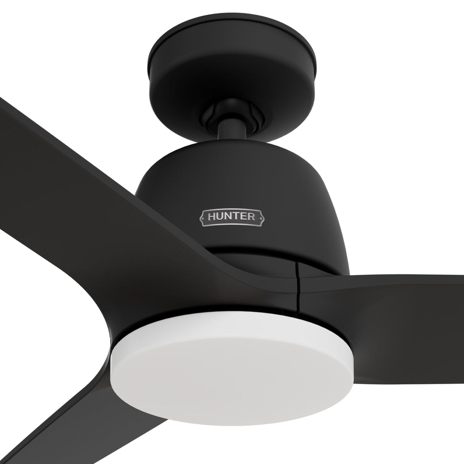Hunter Malden Jasmine Roth Indoor 52inch with LED and Remote