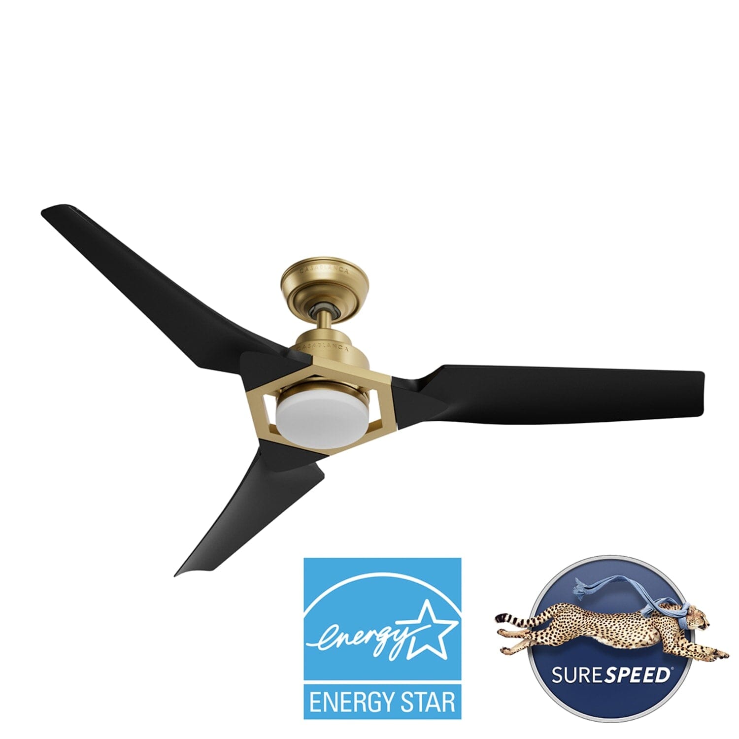 53582_22_eula_outdoor_energy_star_dc_with_led_light_52_inch_with_remote_and_wall_control-brass-badgedmainimage