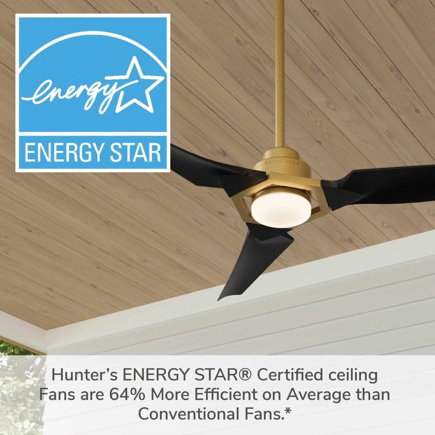 53582_23_eula_outdoor_energy_star_dc_with_led_light_52_inch_with_remote_and_wall_control-brass-energystargraphic