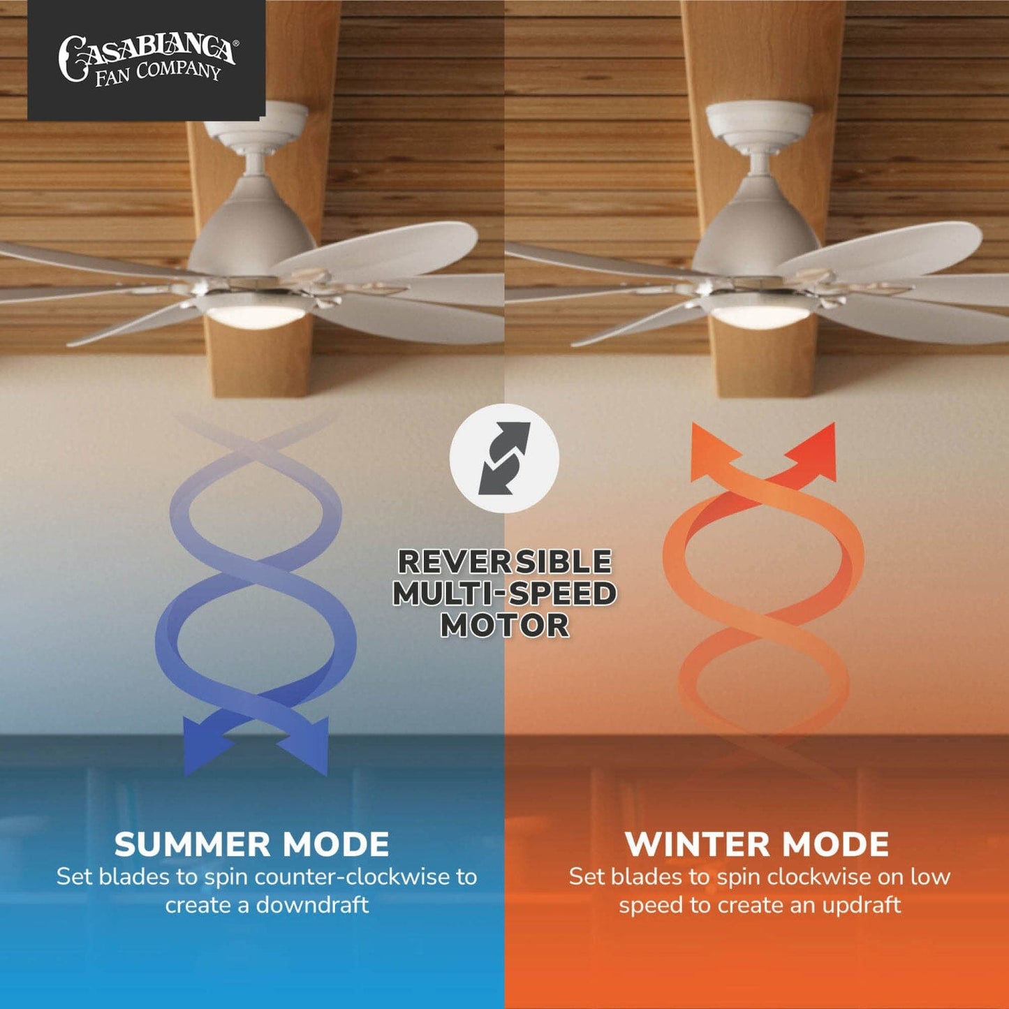 53584_10_azalea_outdoor_energy_star_dc_with_led_light_60_inch_with_remote_and_wall_control-fresh_white-reversible_motor_graphic_-_english