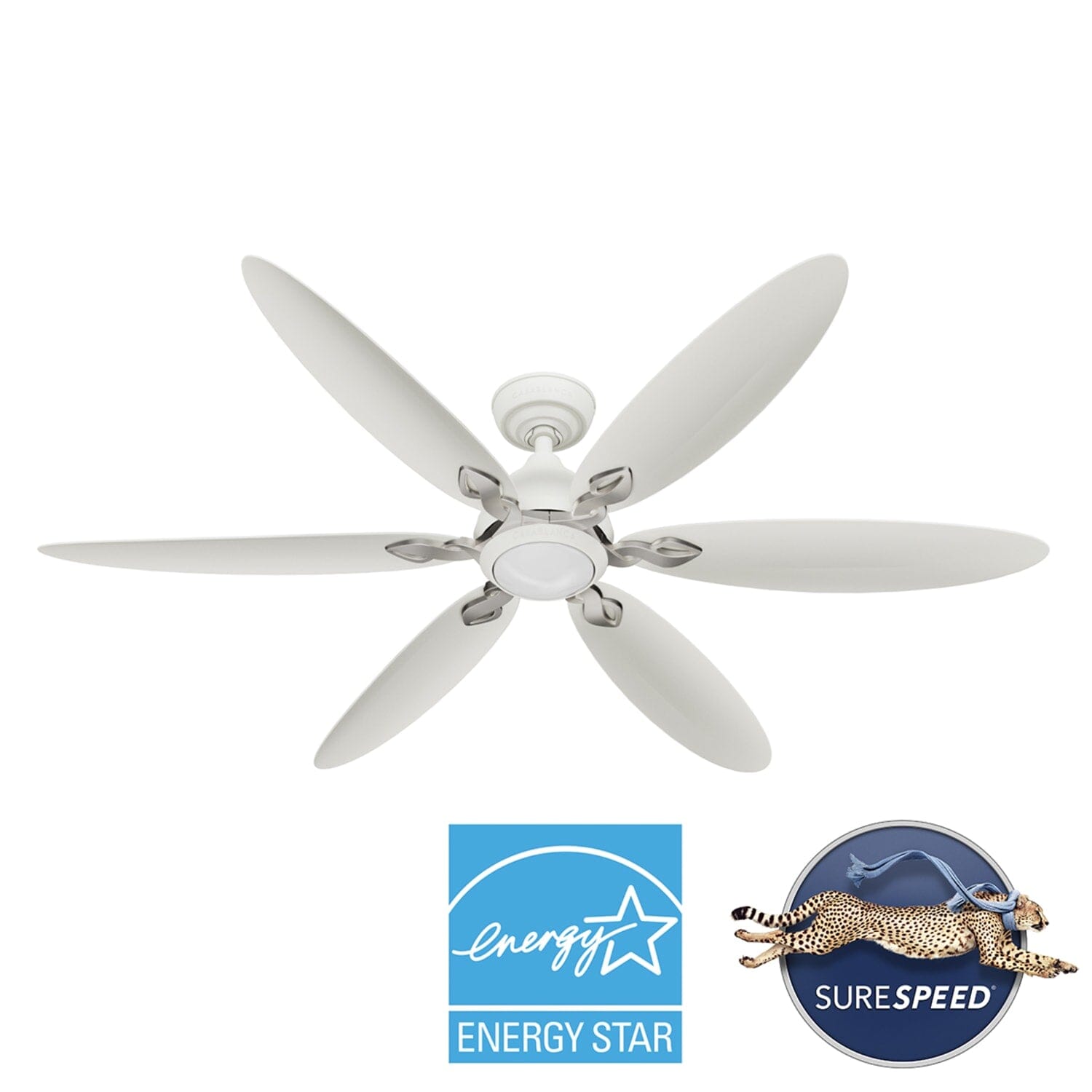 Casablanca Azalea Outdoor Energy Star DC with LED Light 60 inch