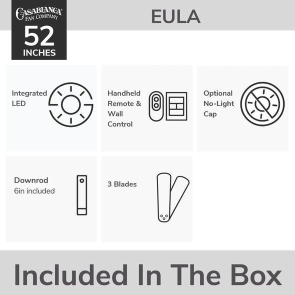 53587_13_eula_outdoor_energy_star_dc_with_led_light_52_inch_with_remote_and_wall_control-matte_black-whatsincludedgraphic