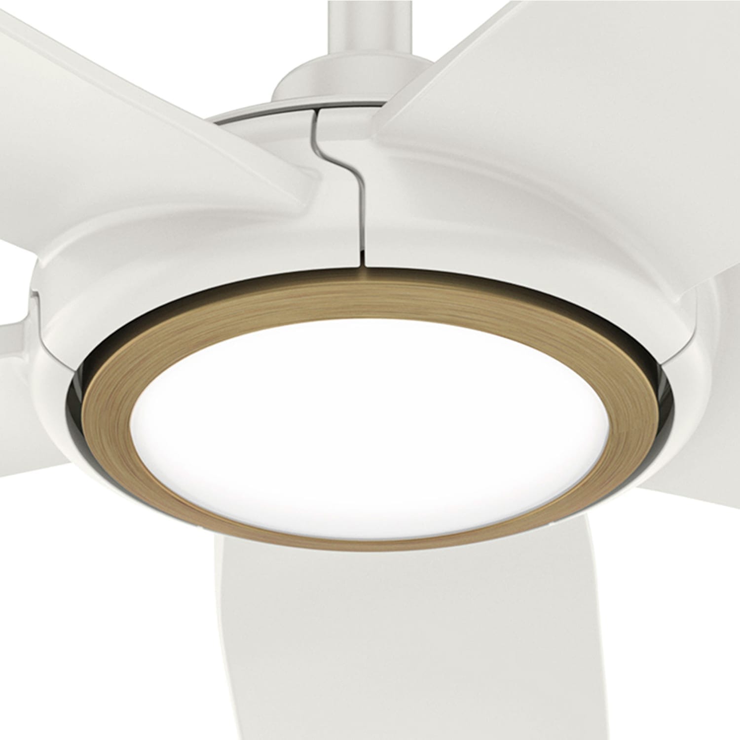 Hunter ZenTech 5 Blade Outdoor Smart Fan 52 inch and Remote