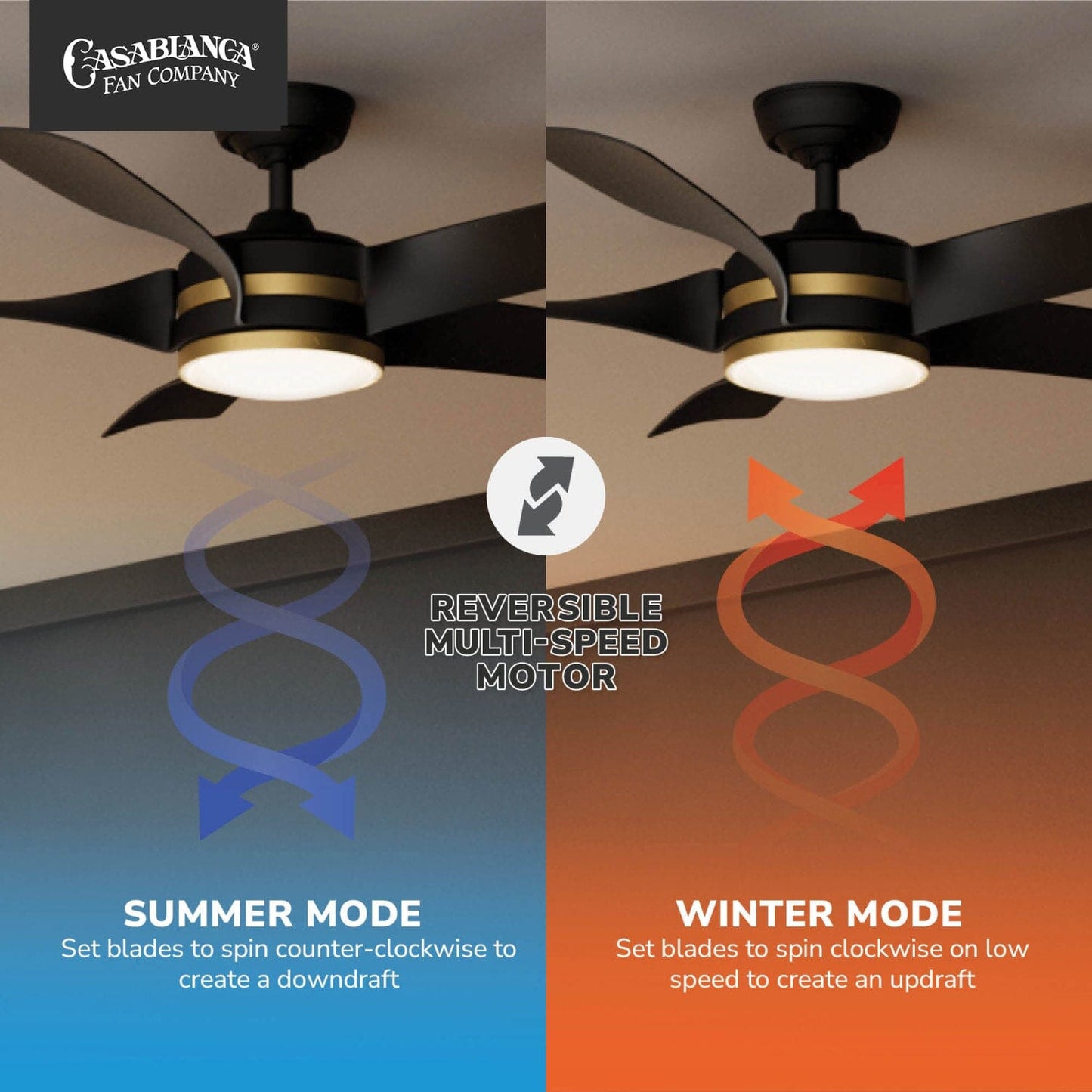 53650_10_julia_outdoor_energy_star_dc_with_led_light_54_inch_with_remote_and_wall_control-matte_black-reversible_motor_graphic_-_english