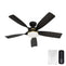 53650_1_julia_outdoor_energy_star_dc_with_led_light_54_inch_with_remote_and_wall_control-matte_black-main