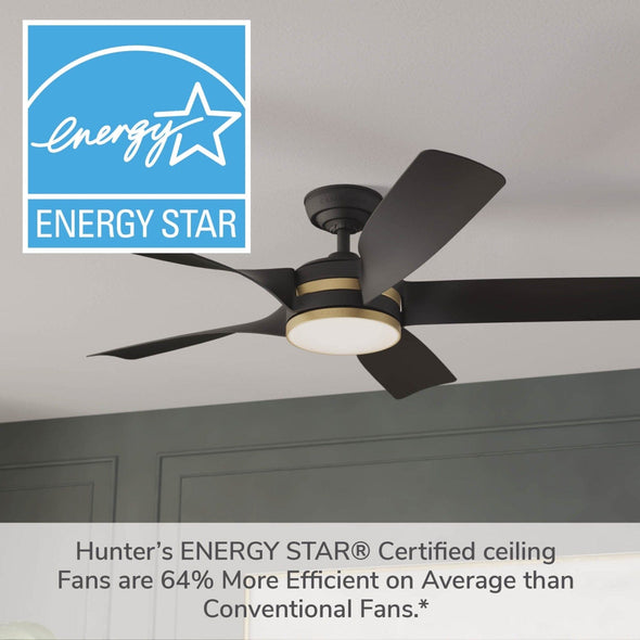 53650_23_julia_outdoor_energy_star_dc_with_led_light_54_inch_with_remote_and_wall_control-matte_black-energystargraphic
