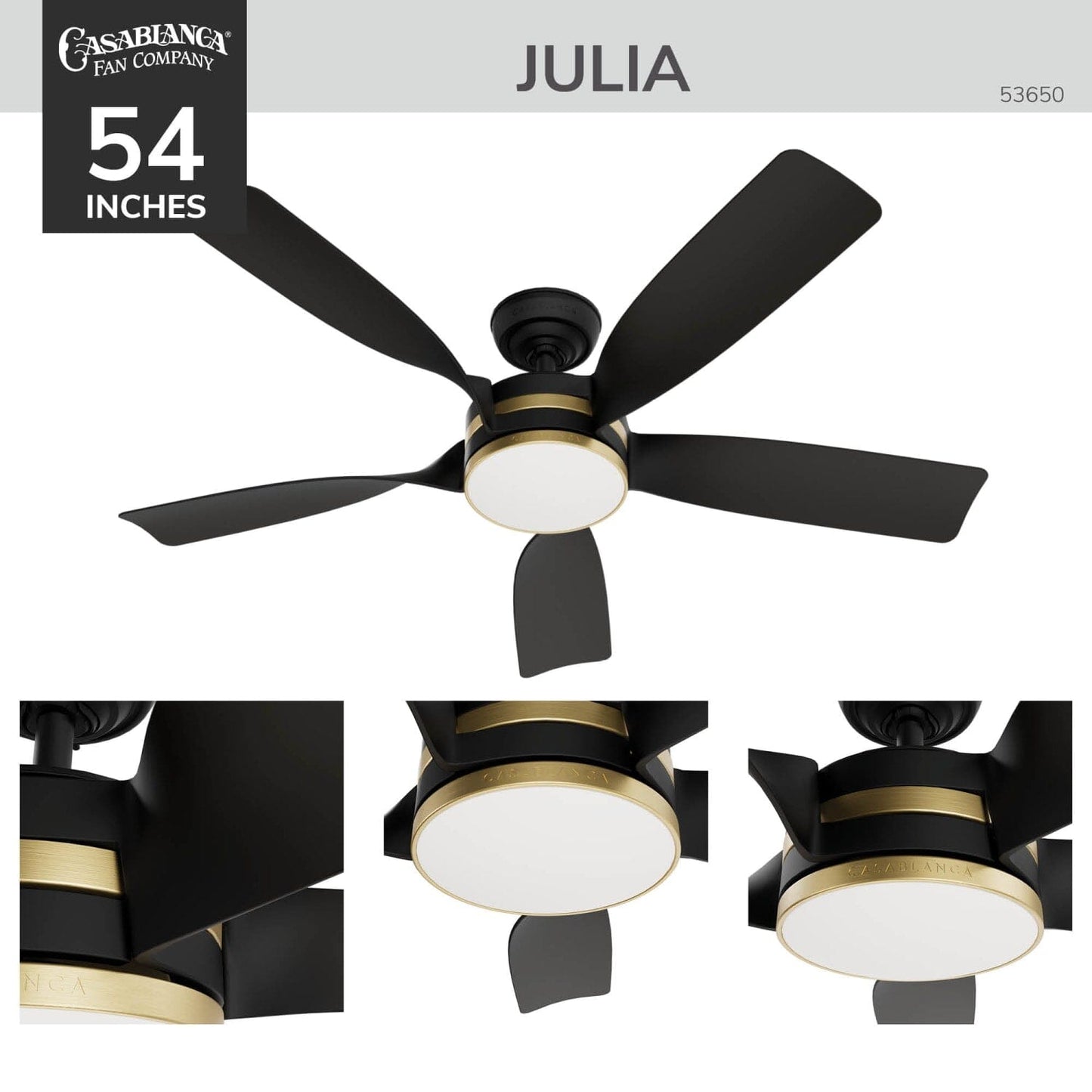 53650_4_julia_outdoor_energy_star_dc_with_led_light_54_inch_with_remote_and_wall_control-matte_black-detailboard