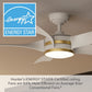 53651_23_julia_outdoor_energy_star_dc_with_led_light_54_inch_with_remote_and_wall_control-fresh_white-energystargraphic