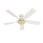 53651_2 julia outdoor energy star dc with led light 54 inch with remote and wall control fresh white alternateangle1
